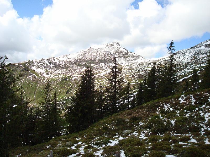 AUS31052009 (80).jpg